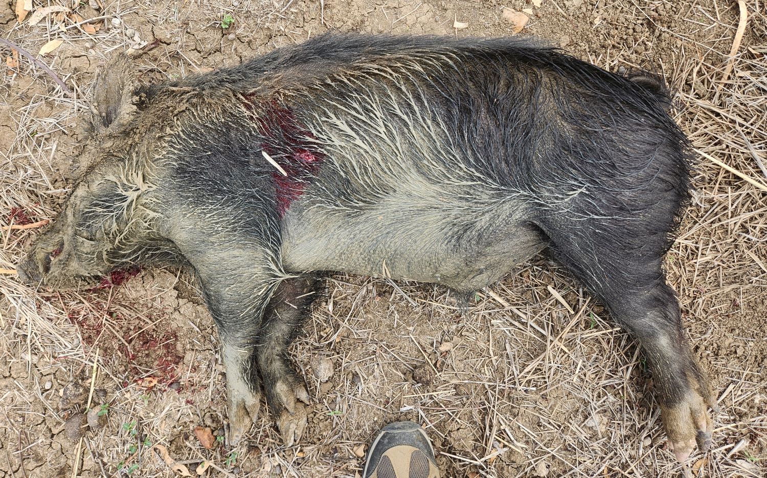 20241127_174405 (2)_Downsized.jpg