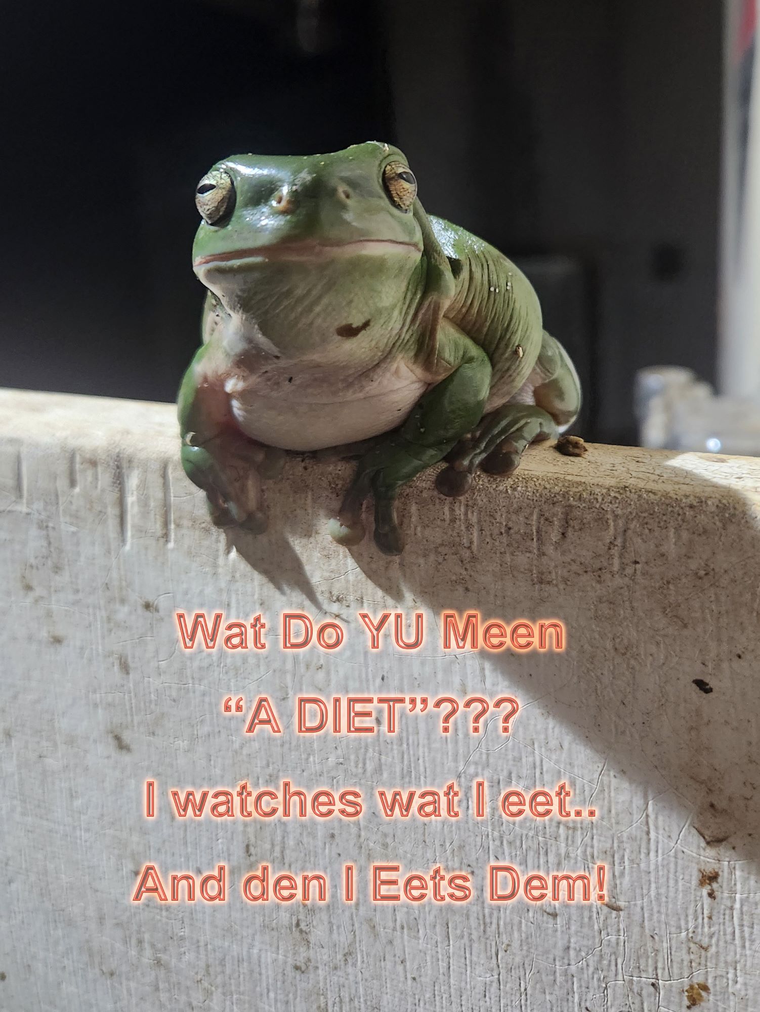 20241127_192745 PSE_Downsized.jpg