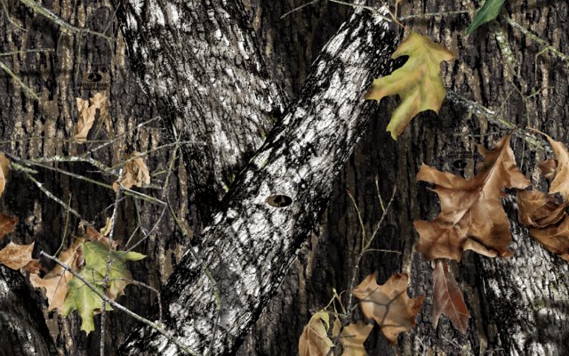 Mossy_Oak_New_Breakup.jpg