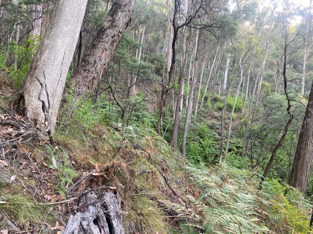IMG_5960.jpg