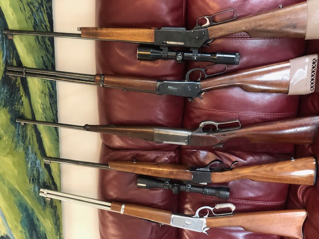 med leverguns.jpg