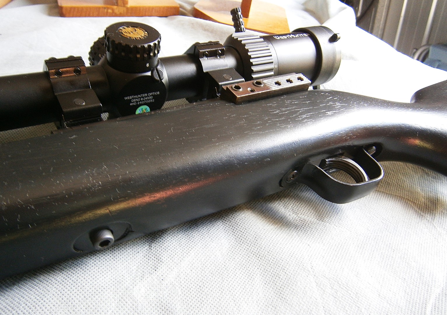 P2060005 (Large).JPG