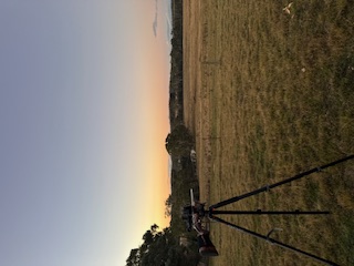 Bog tripod.jpg