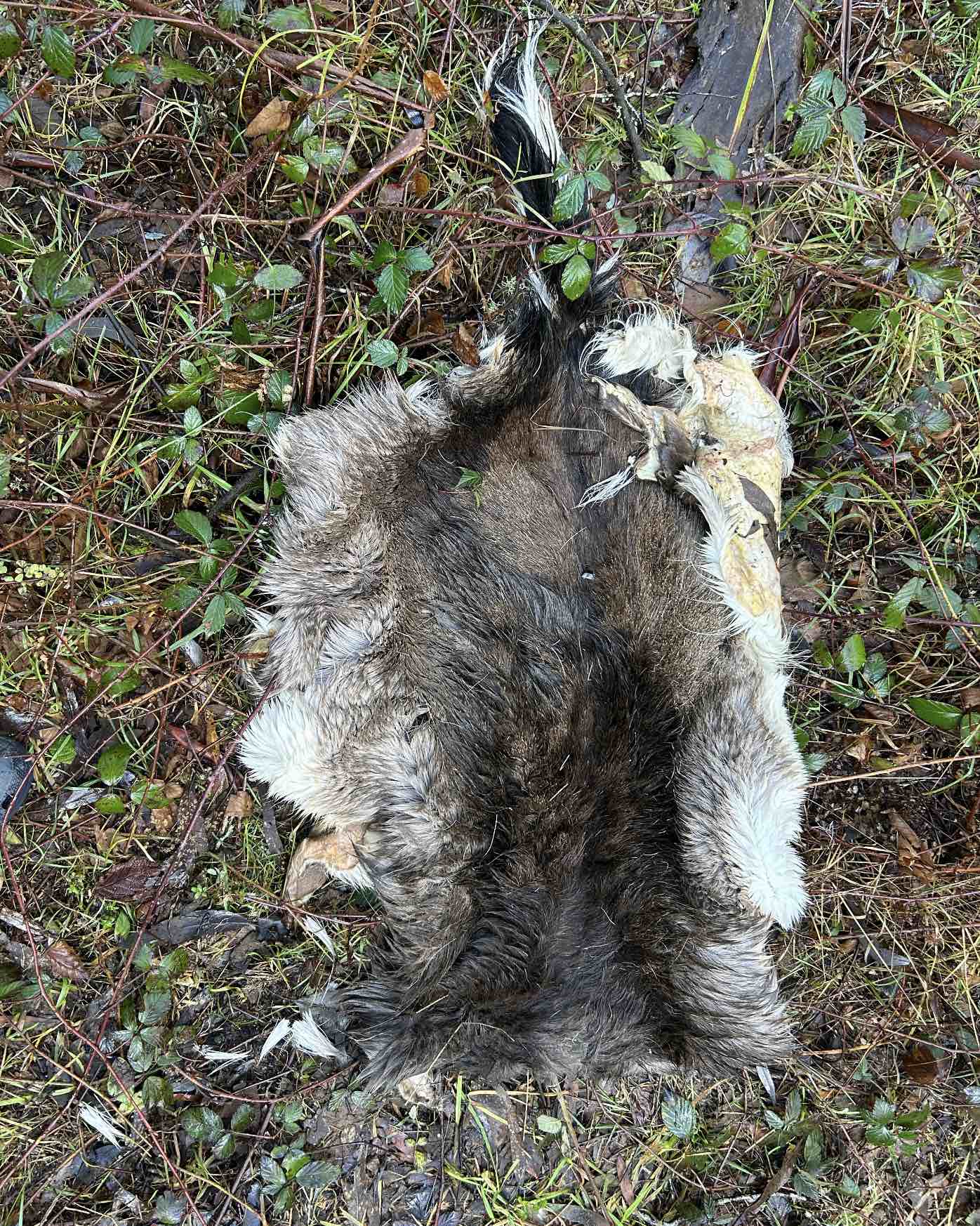 Screenshot 2025-07-28 at 6.33.39 pm.jpg