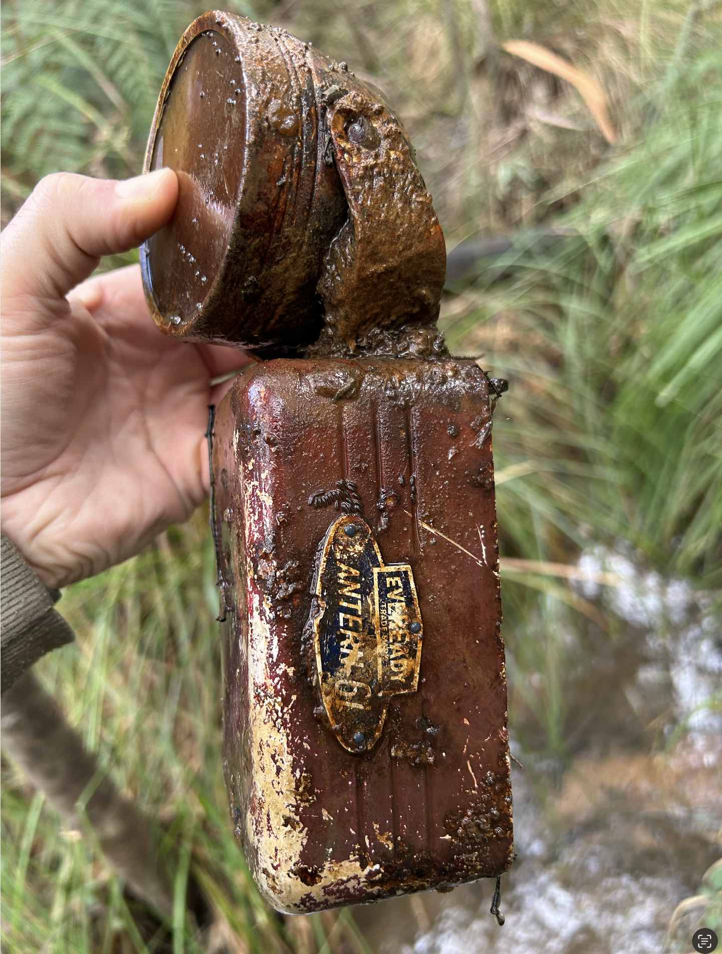 Screenshot 2025-09-03 at 2.04.43 pm.jpg