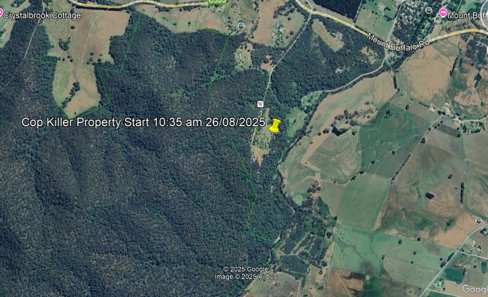 Dezi Freeman Bus.jpg