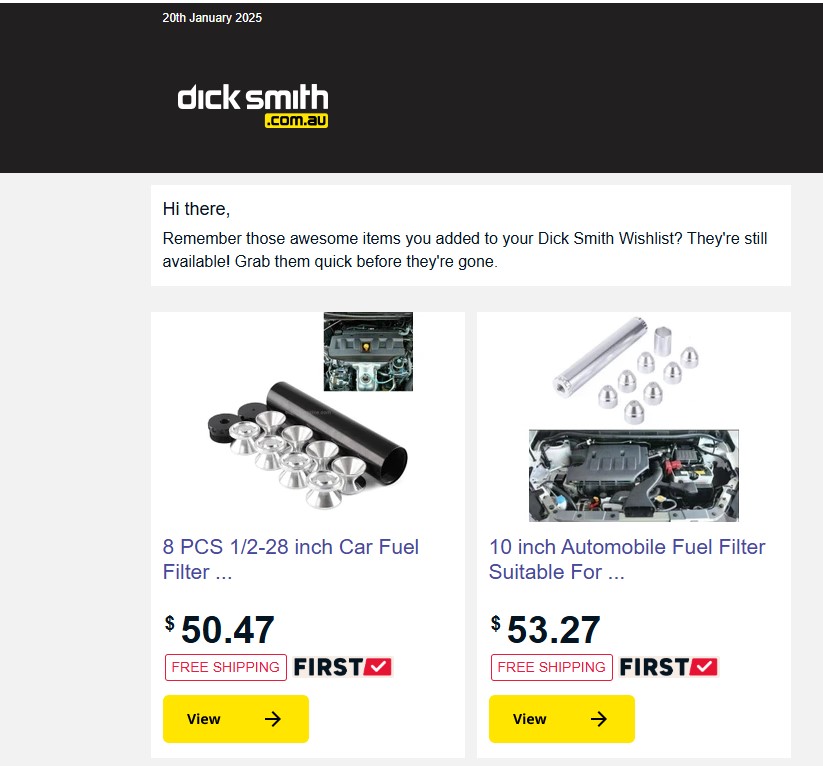 dick smith fuel filter .jpg