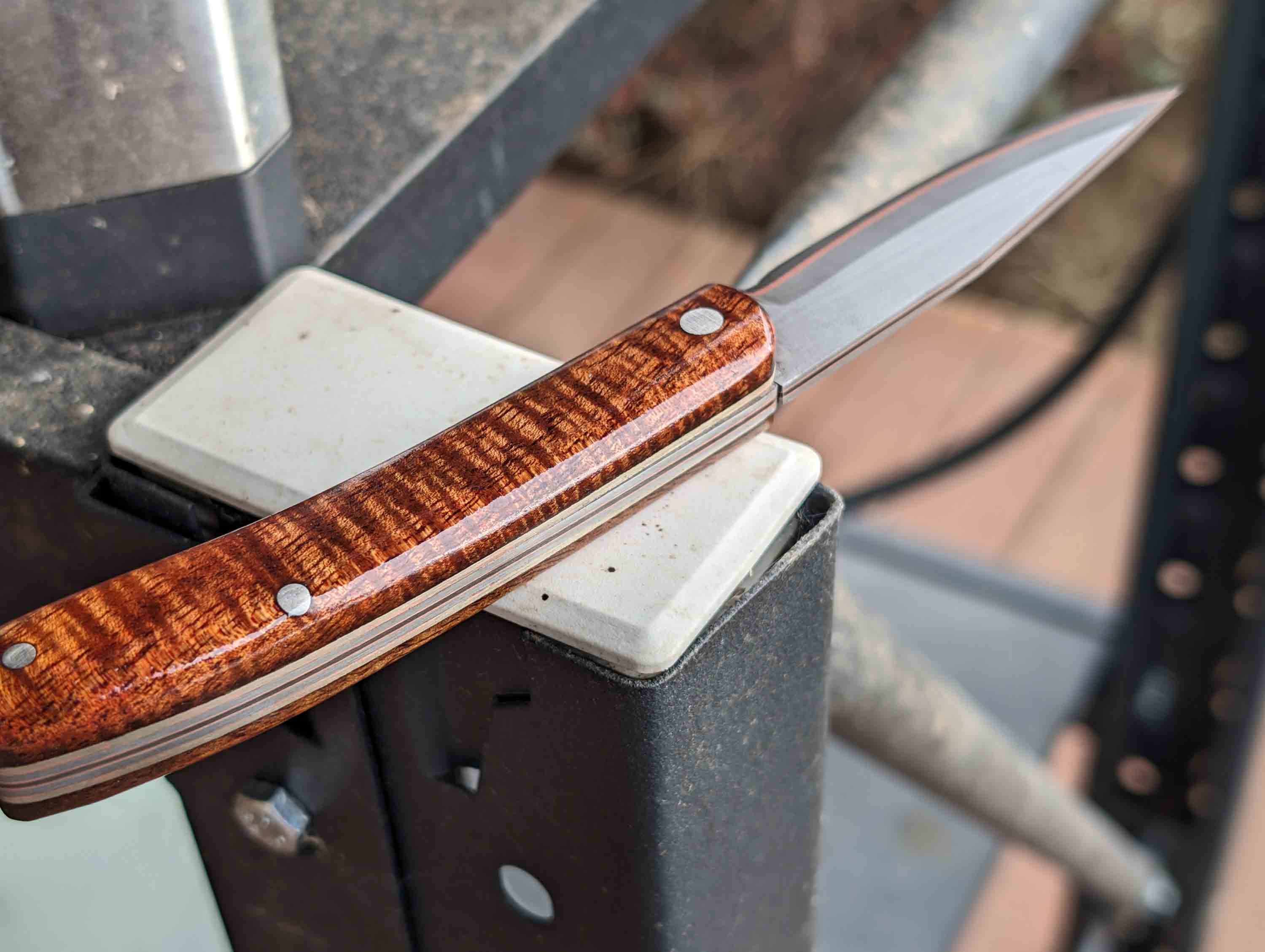 PXL_20240603_033354545 (2).jpg