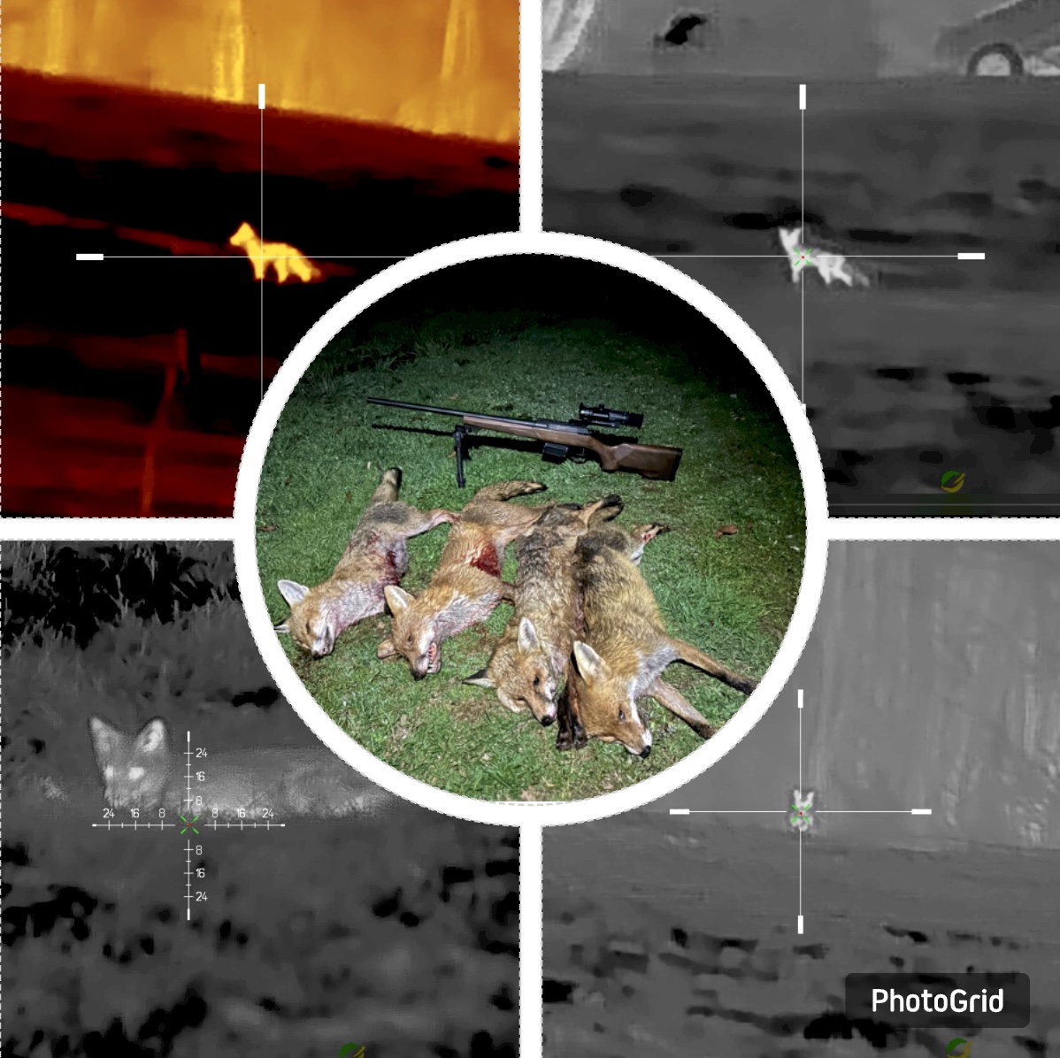 Screenshot 2025-10-22 at 12.06.09 pm.jpg