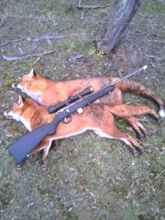 38d19c2a-eb73-4c95-bebf-71cb15d2f68f_zpstxnu3req (1).JPG