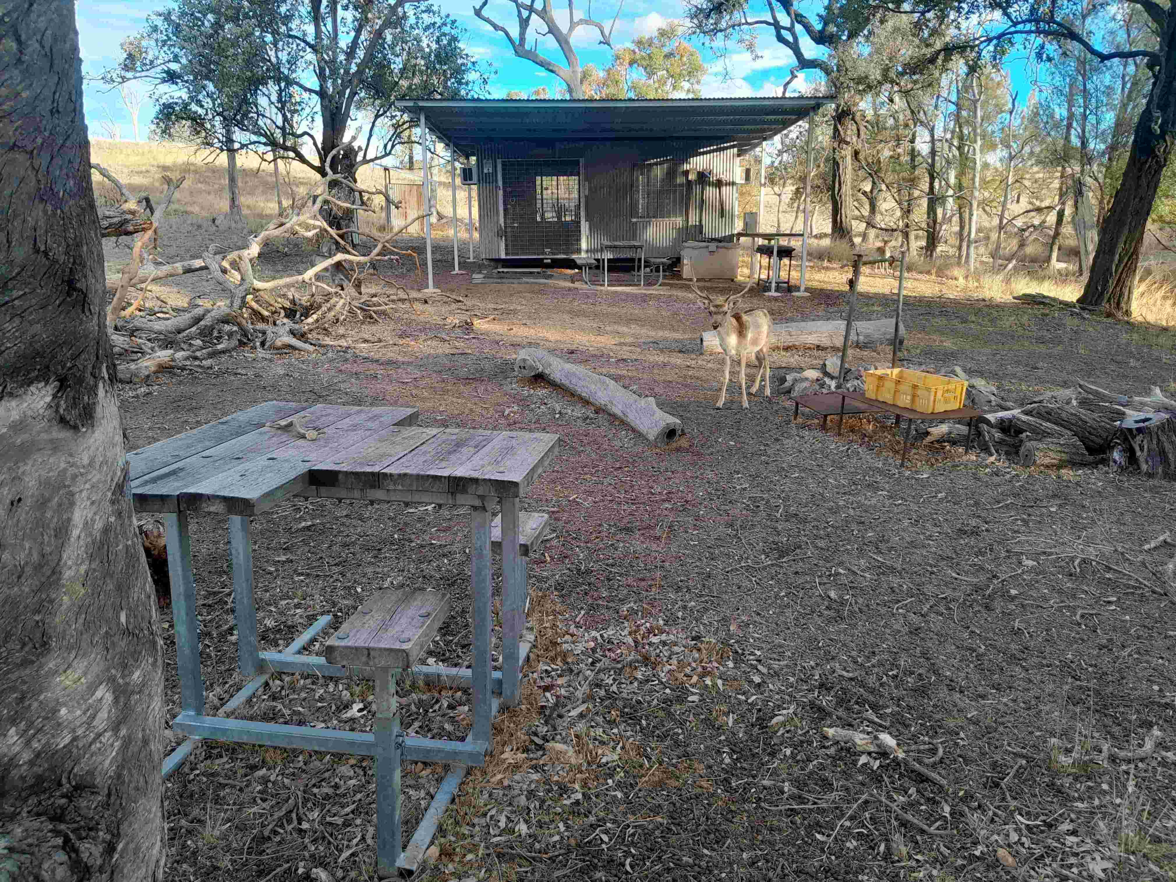 Campshed.jpg