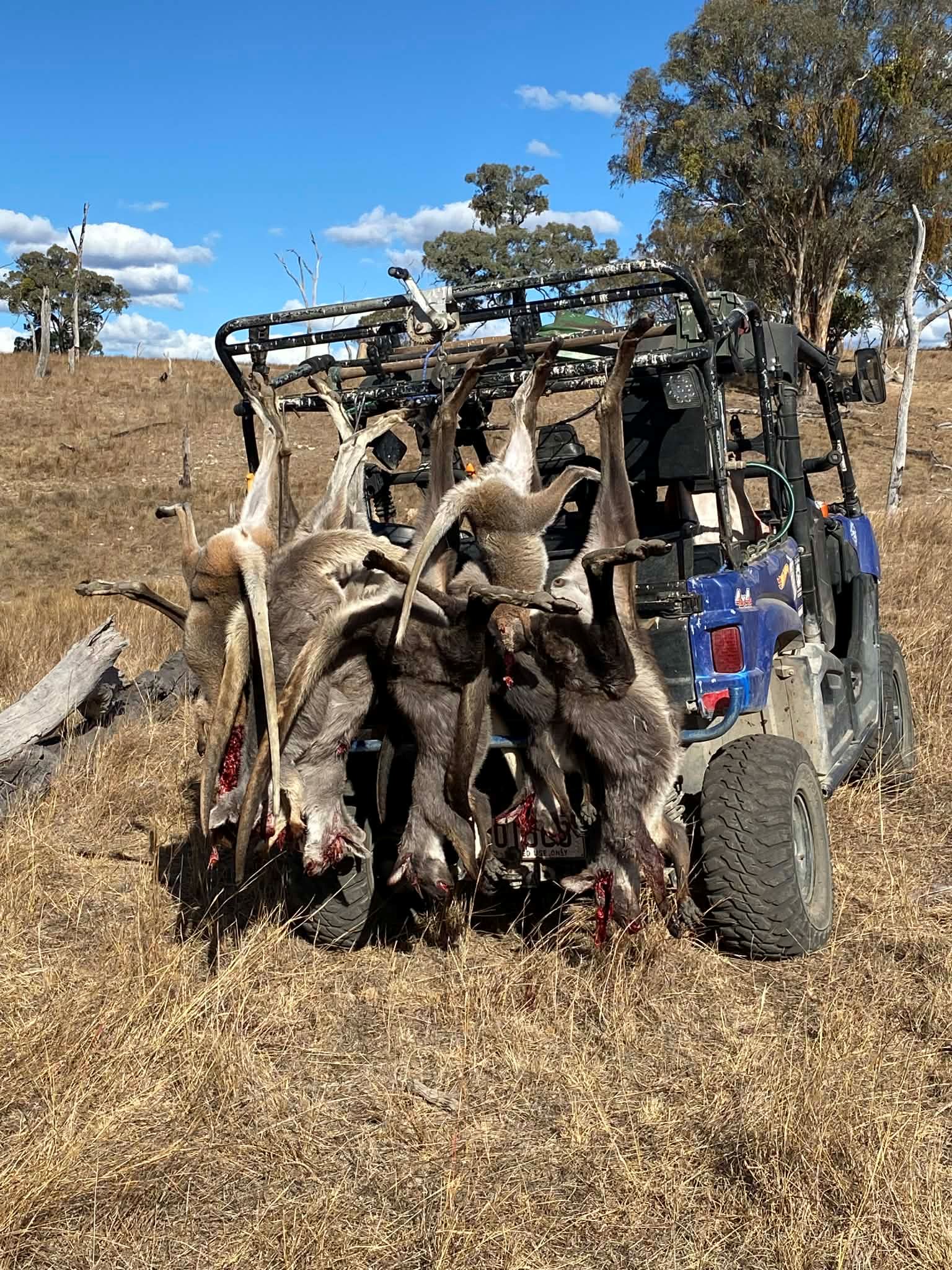 quad rack.jpg