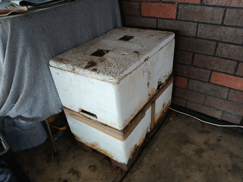 20260615_085918RS.jpg
