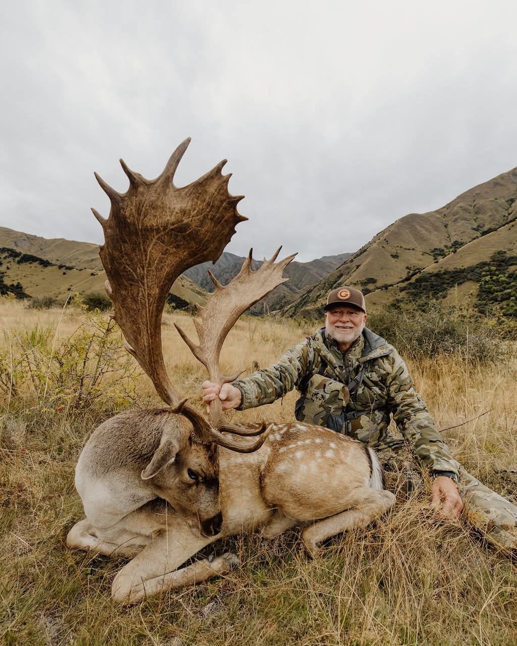 FallowBuck1.jpg