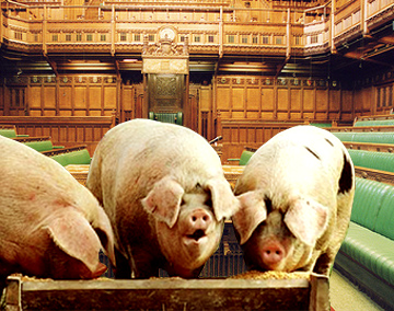 Pigs in parliament.jpg