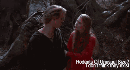 rodents_of_unusal_size.gif