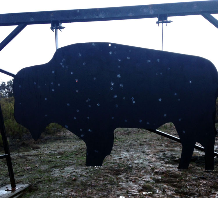 600-yard-buffalo.jpg