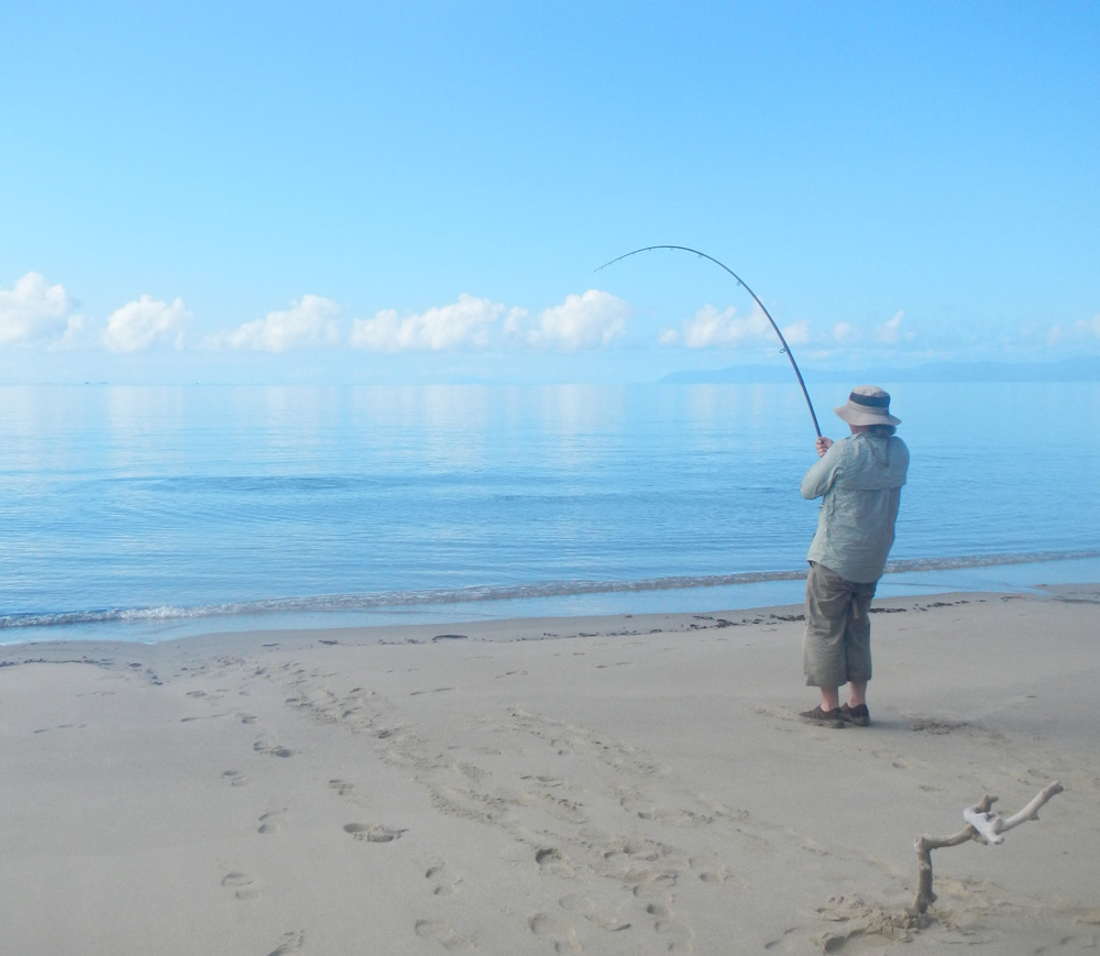 Daintree under load.jpg