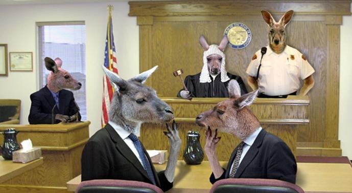 kangaroo-court[1].jpg