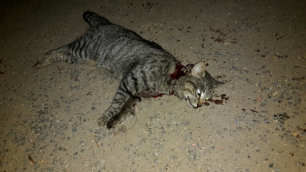 2015-12-08 13.50.42.jpg