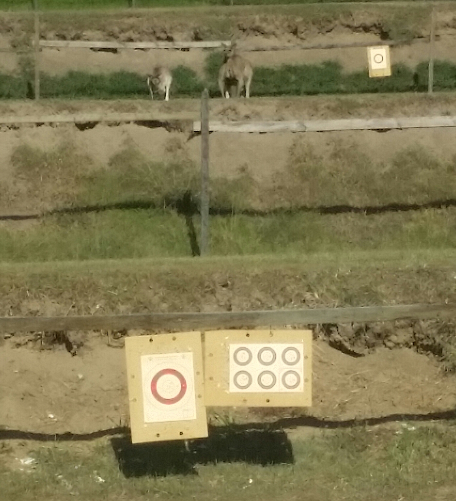 20160306_160039-1.jpg