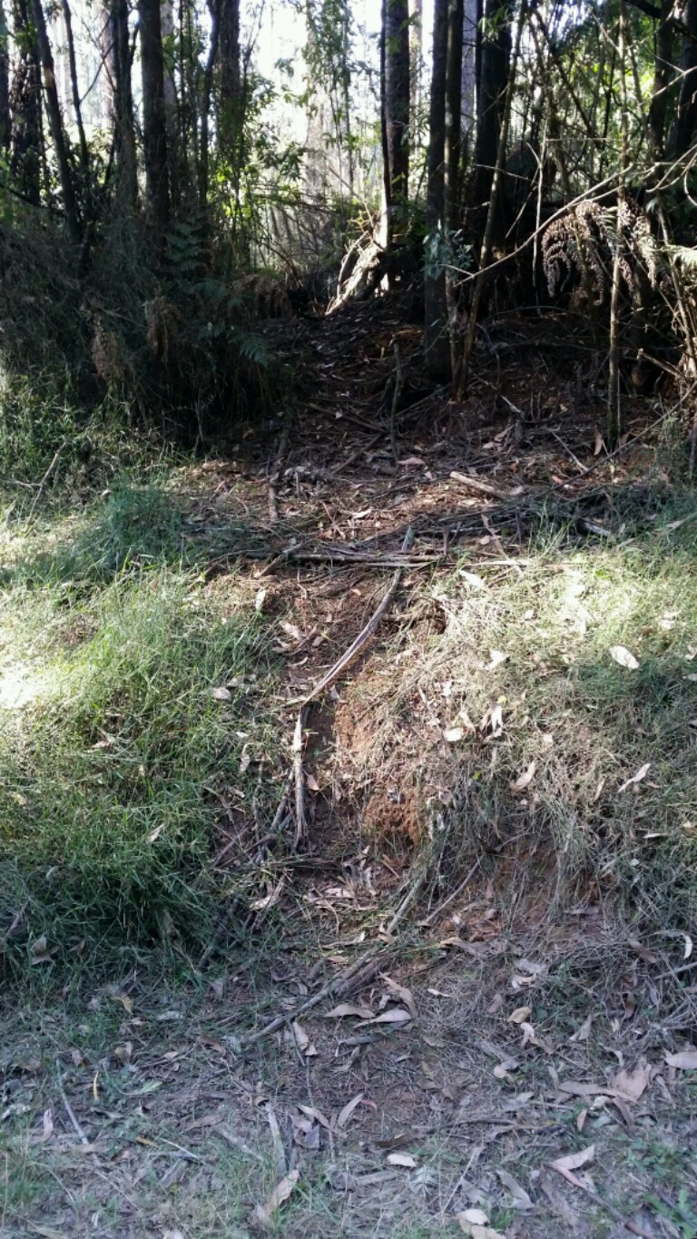 Game trail.jpg