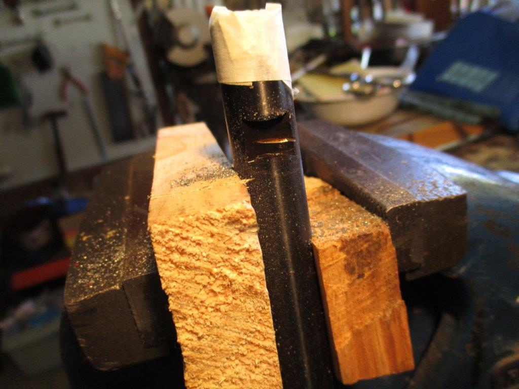 Reduced size image.jpg