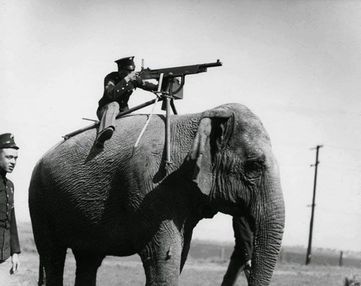 elephant-mounted-machine-gun-1914.jpg