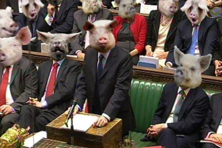 pigs-at-the-trough.jpeg