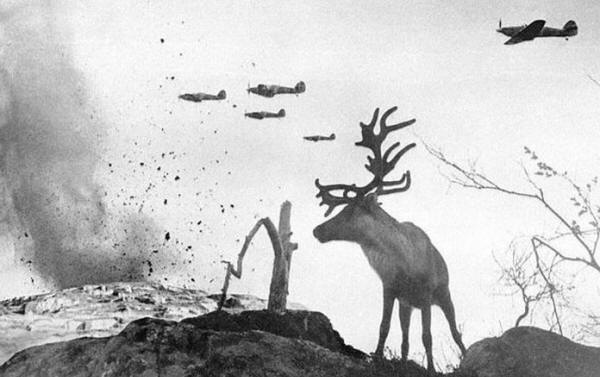 reindeer-wwii-bombing.jpg