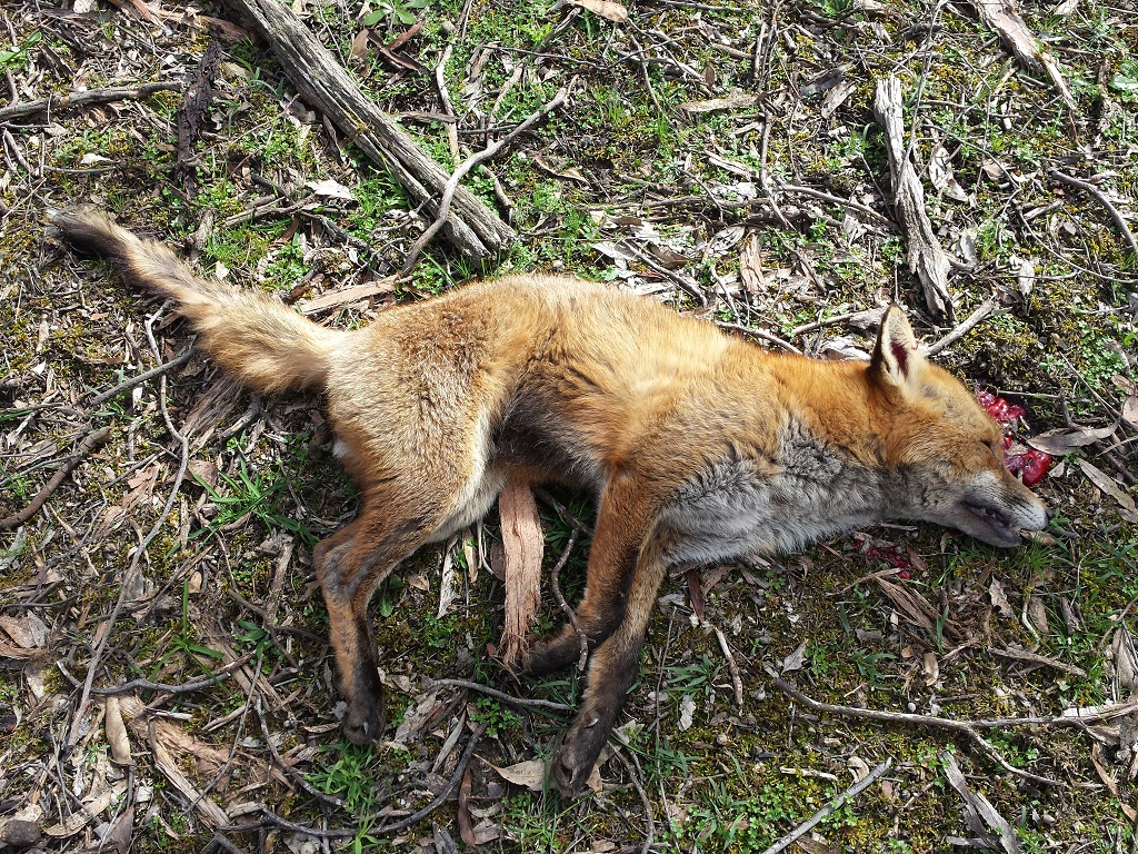 20160827_143032.jpg