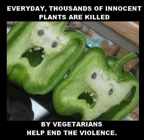 everyday-thousands-of-innocent-plants-are-killed-by-vegetarians-help-end-the-violence.gif