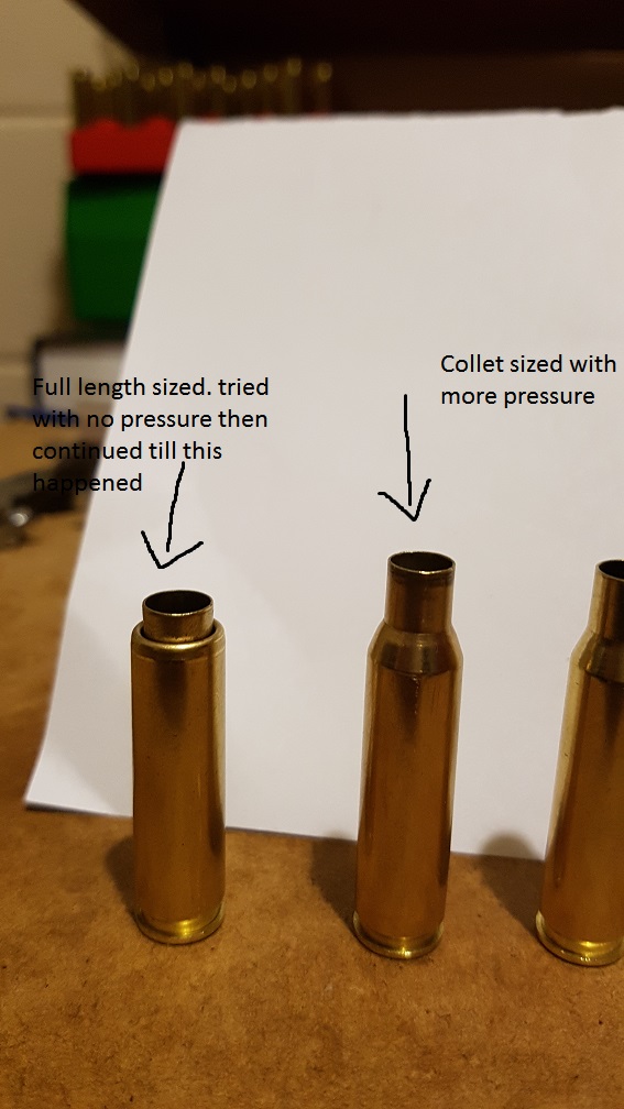 Stuffed cases.jpg