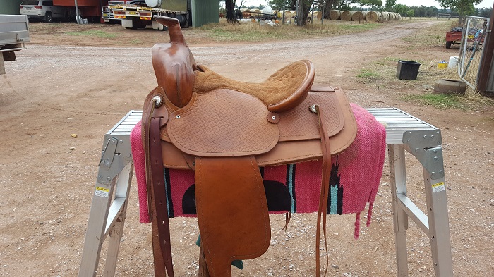 2nd saddle.jpg