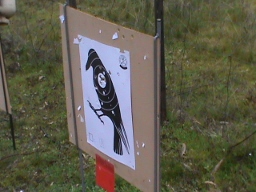 DSC00010 (256x192).jpg