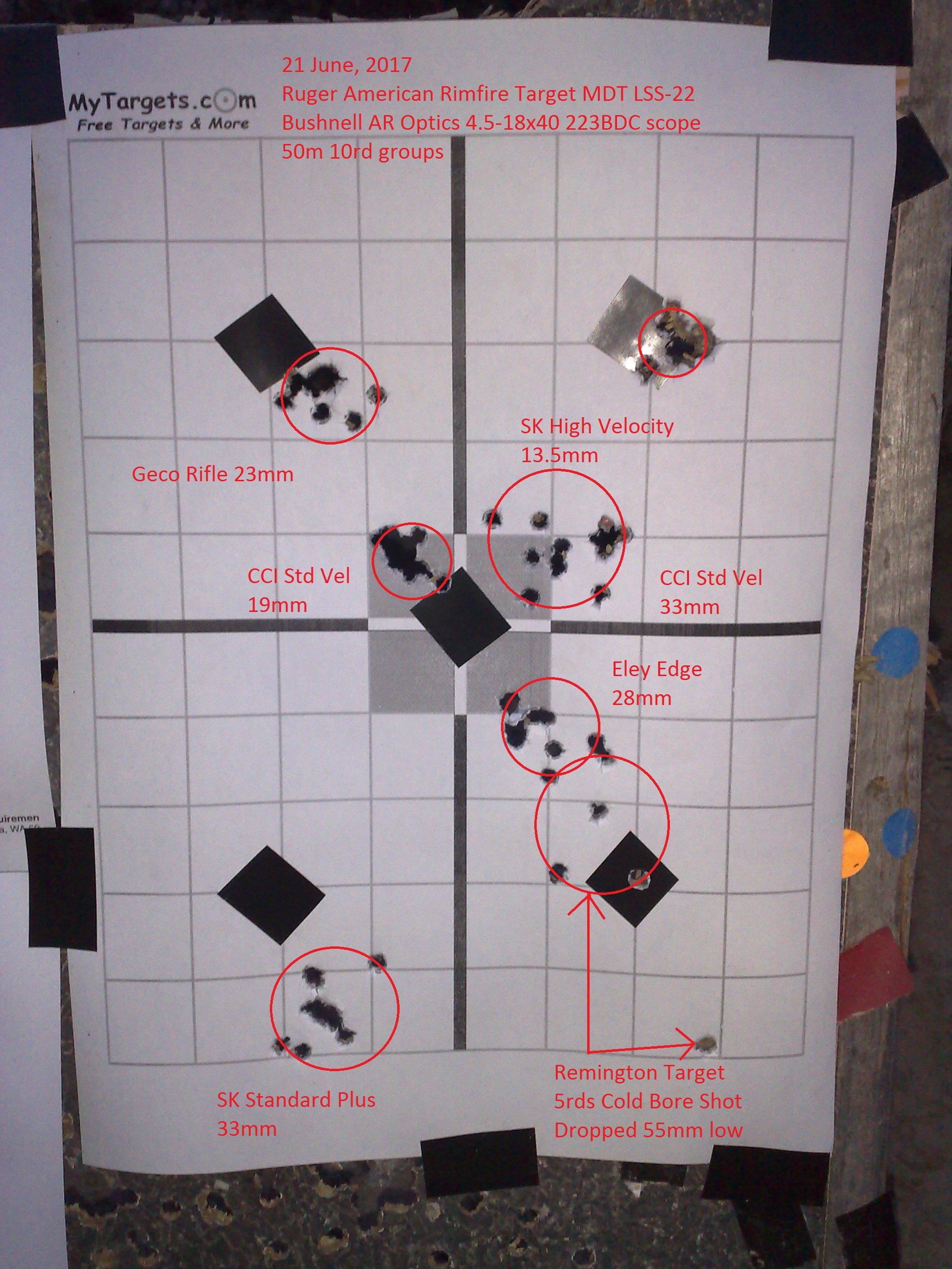 Ruger Target Ammo Test 3.jpg