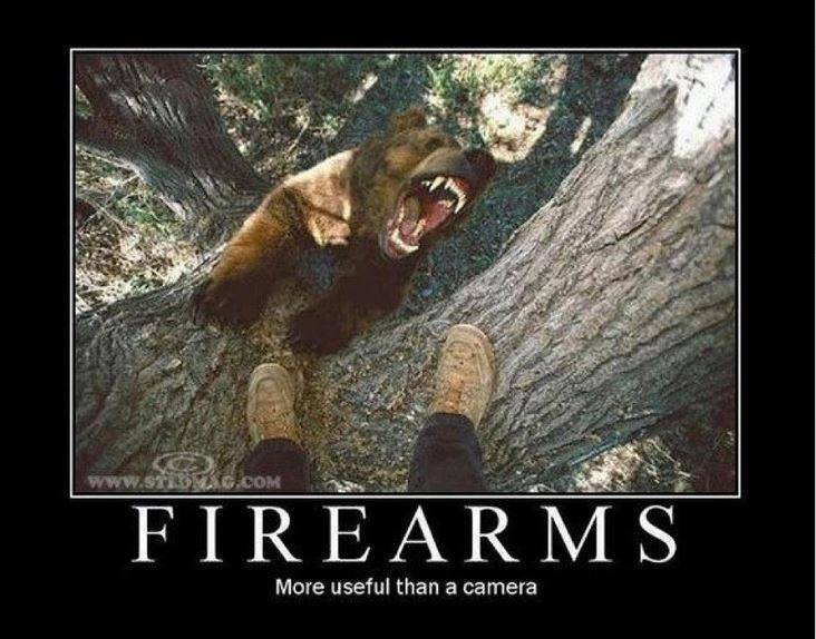 1290s-bear.jpg
