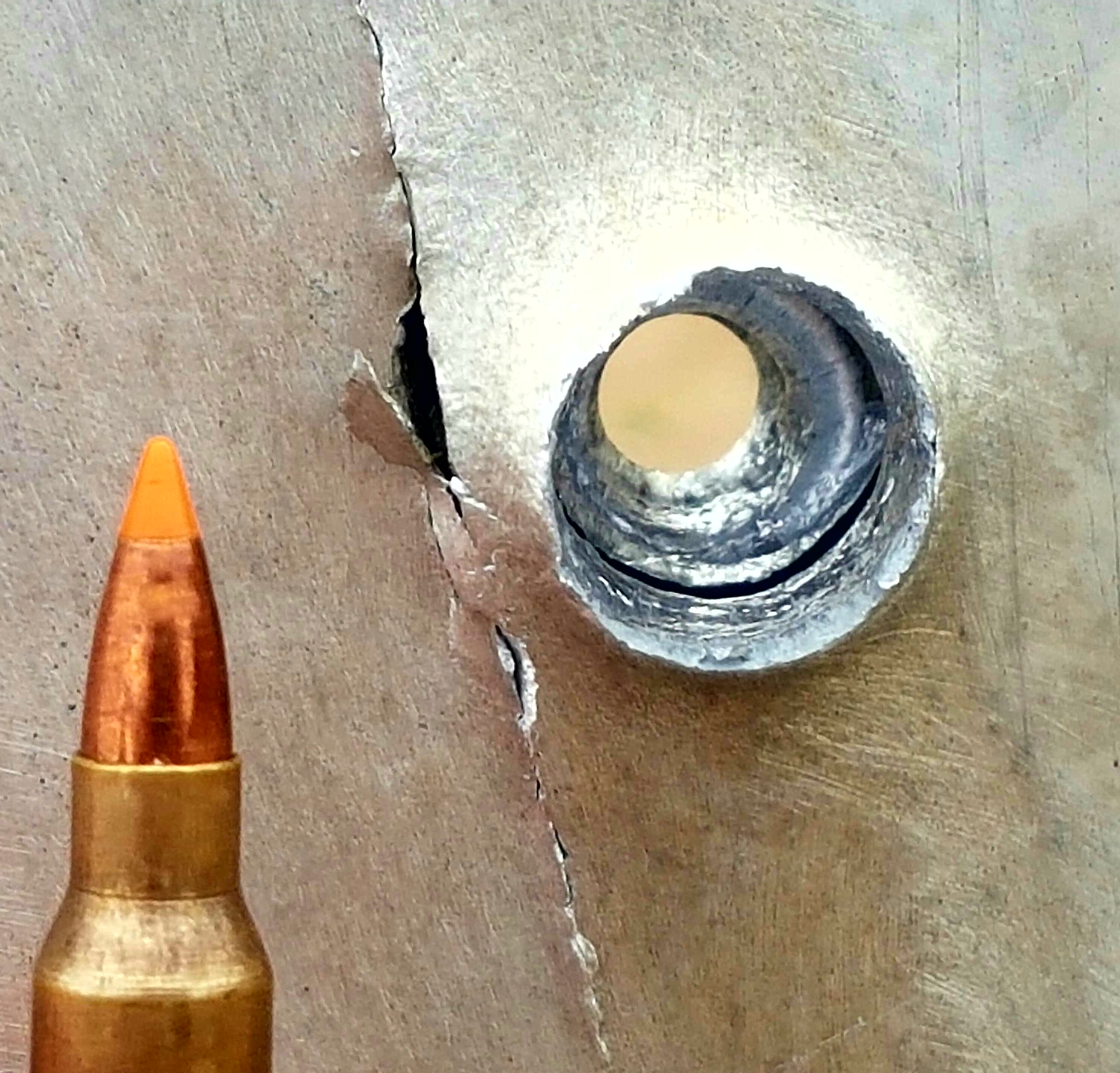 Nosler 50gr.jpg