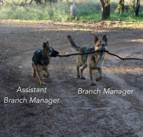 Branch  Manager.jpg