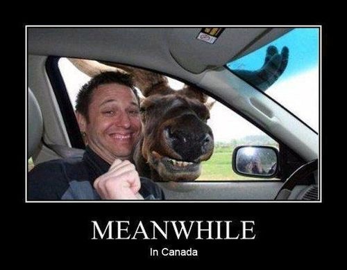 fb8df3d22b036d993da57c2702007945--canada-eh-canada-jokes.jpg