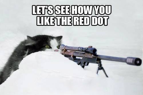 funny-lol-letsseehowyoulikethisreddot-machine-gun-cats-humor-joke-meme-photo-picture.jpg