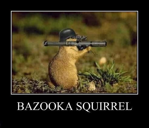 bazooka squirrel.jpg