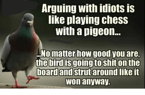 arguing-with-idiots-is-like-playing-chess-with-a-pigeon-20589203.png